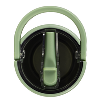 Dinosaur