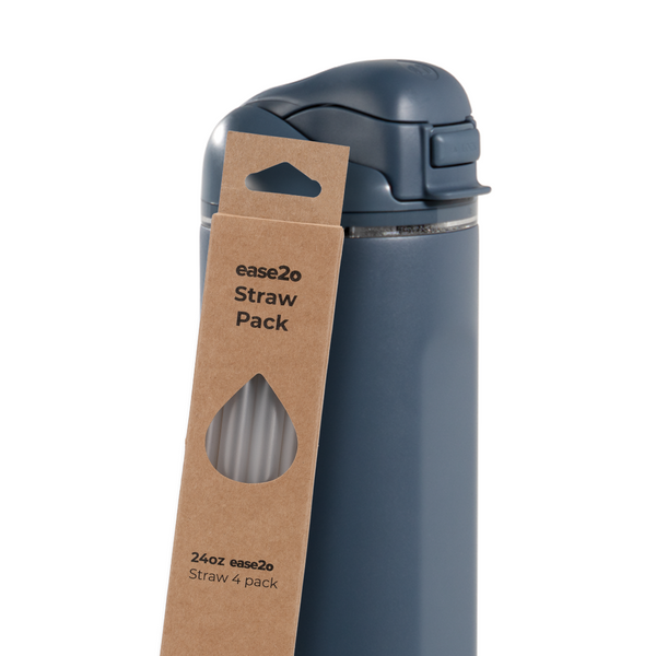 Ease2o Straws 4 Pack 24oz D9